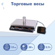System System Libra with a remote indicator mass MK-15.2-T21