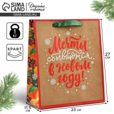 Craft vertical “Dreams Complete” package, Ml 23 x 27 x 11.5 cm, New Year