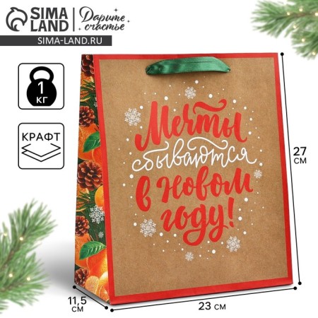 Craft vertical “Dreams Complete” package, Ml 23 x 27 x 11.5 cm, New Year