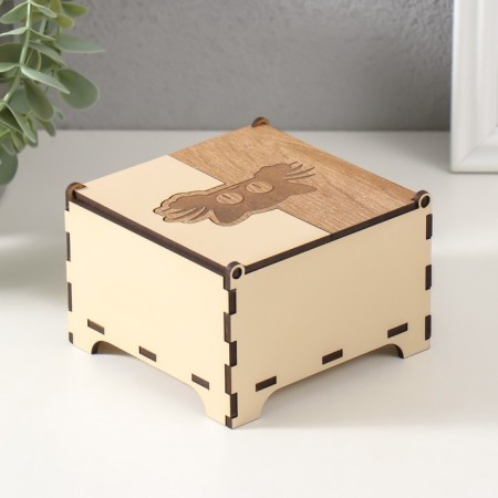 Combined box "kitten" 10.5x10x7 cm-4