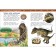 Encyclopedia for kindergarten "Dinosaurs"
