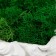 Concrete Kashpo "David" with moss white 11.5x15.5x12 cm (moss green stabilized)
