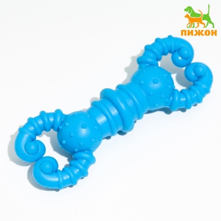 Rubber toy for a toy "Gantel-crab", TPR, 11.5 x 2 cm, Blue