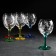 Set of glasses for wine rimavera, glass, 250 ml, 6 pcs, engraving