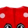 Carnival set "Forest flyer", felt