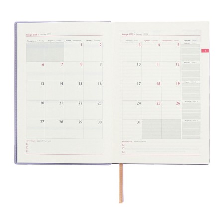 Dated 2025 diary, A5, 176 sheets of Escalada, a solid cover made of artificial leather, foil embossing, liesse, cream block 70 g/m2, lilac-10