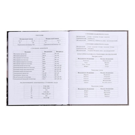 Diary for a music school, 48 sheets, hard cover, matte lamination, selective varnish, with reference information, block 60g/m2-14