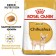 Dry feed RC Chihuahua Adult for Chihuahua, 3 kg