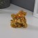 NECKE GOLD "HOTEY on Dragonocerepach" 7.5 x 7.5 cm