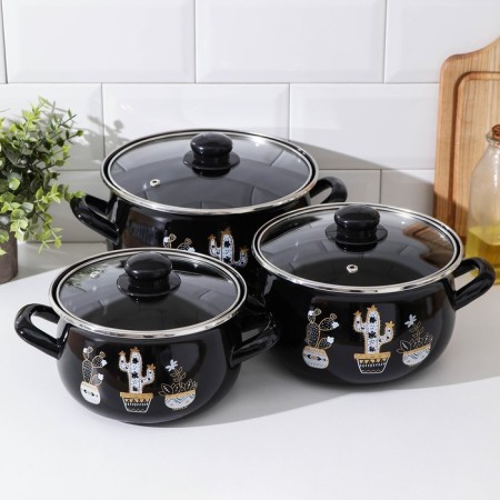 Set of pots "Black cacti", 3 subjects: 2.1 l, 3.1 l, 4 l, induction