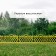 Decorative fence, 36 × 42 cm, plastic, yellow