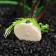 A set of artificial plants for the aquarium (2 pcs), 20 cm