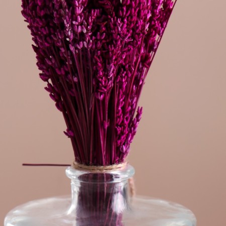 Set of dried flowers "lavender" banch length 30 (+/- 6 cm), pink-1