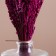 Set of dried flowers "lavender" banch length 30 (+/- 6 cm), pink