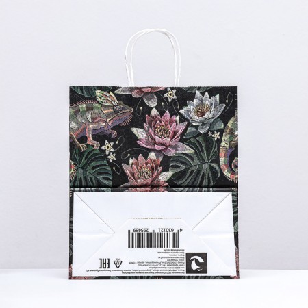 Paper package, craft 100 g/m2 25 x 22 x 12 cm "chameleon"-1