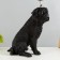 Board Lamp "POPS" E27 40W black 20x21x59cm Risalux