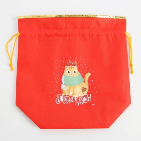 Gift bag "heat", 28 x 28 cm +/- 1.5 cm, new year-1