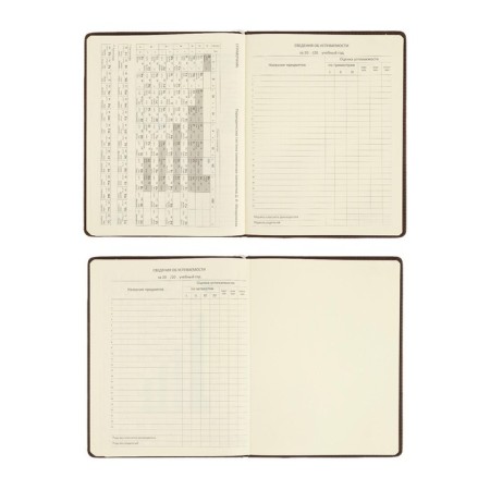 Universal diary for grade 1-11 Dark Brown, hard cover, artificial leather, foam rubber, lies, 80 g/m2-5