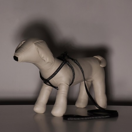 The set is two-layer, leash 130 x 1 cm, og 25-38 cm, black-10