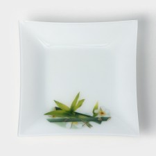 Bamboo glass plate 