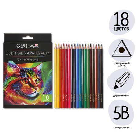 Pencils of 18 colors TOP Calligrata, in a cardboard box, neck diameter - 3mm, 5b