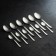 Set of dining room "Triumph", 24 items, thickness 2 mm, souvenir box, silver color