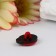 A set of buttons plastic "God's cow" 1.4x1.1 cm nr 20 pcs 11.2x1.5x7 cm