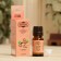 Essential oil "Sandal", a bottle-boiler, abstract, 10 ml, "Dobroparov"