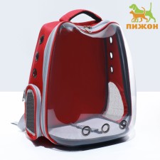 Backpack for carrying 