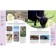 Encyclopedia. The colorful world of animals