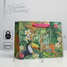 Package Gift Craft Horizontal, Packaging, Tropical Gift, 23 x 18 x 10 cm