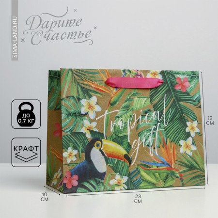 Package Gift Craft Horizontal, Packaging, Tropical Gift, 23 x 18 x 10 cm