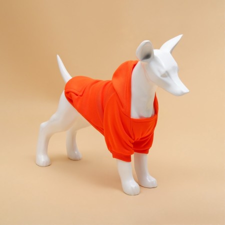 Sweep for animals with a hood, size 2xl (DS 55 cm). Orange