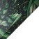 Picture on canvas "Green Ferners" 50*70 cm