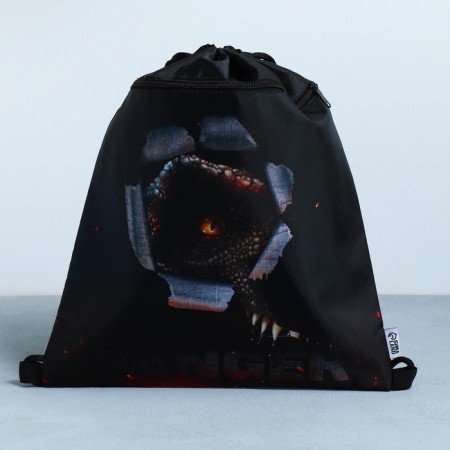 Danger 2 shoes bag, 30 x 40 cm-2