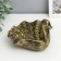 Interior polystone stand "Swerdow" under the brass 16x14x15 cm