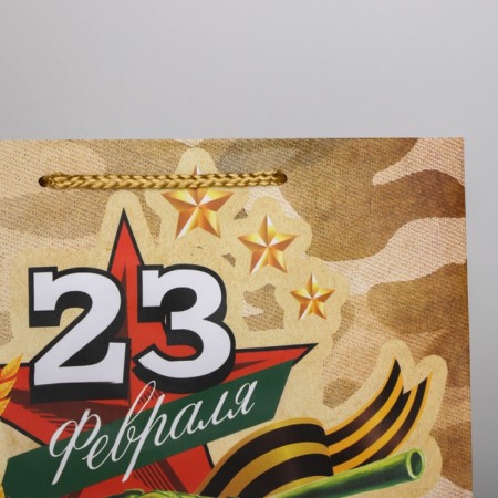 Gift Laminated Horizontal Package, Packaging, Tank, ML 25 x 21 x 8 cm-4