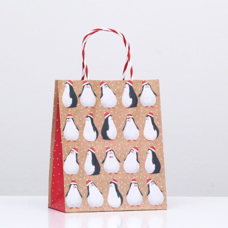 Gift Penguins package 18 x 22.3 x 10 cm-2