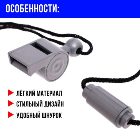 Popular whistle "district"-2