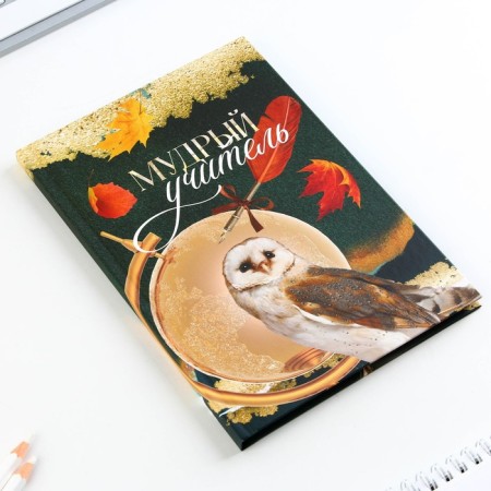 Diary in a gift box, A5, 80 sheets, a solid cover to the "Golden Teacher"-3