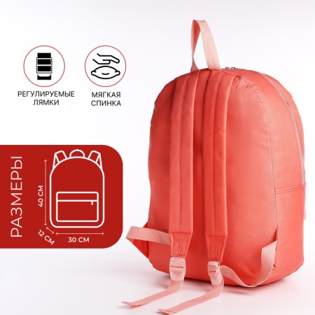 A backpack with a zipper, external pocket, pink color-1