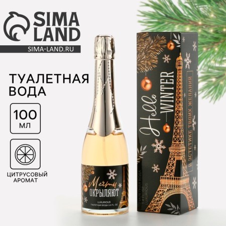 Toilet water for the New Year "Hello Winter", 100 ml.