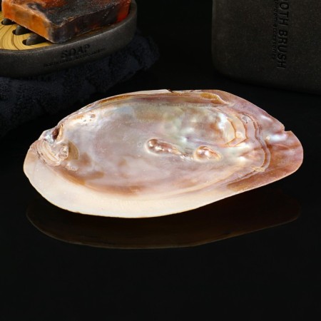 Steam stand "Shell" 15cm