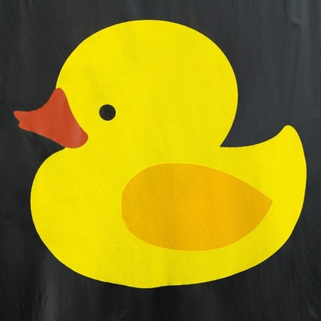 Raincoat adult cloak "Duck", size 42-48, black color-3