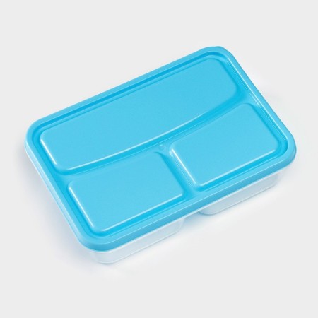 Lunch box rectangular, 21 × 14.5 × 5.5 cm, 3 compartments, color mix-2