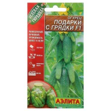 Seeds of cucumber 
