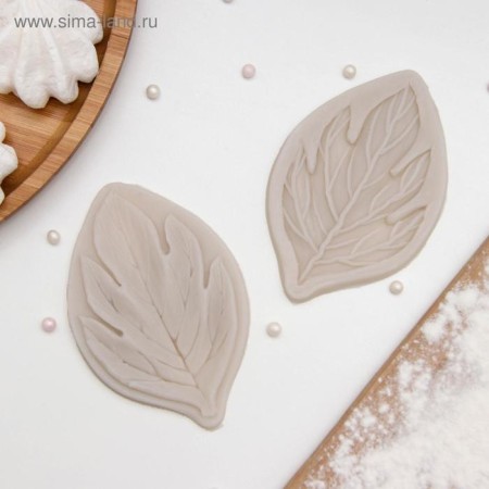 Mold "Foliage", silicone, 2 parts, 7 × 4.5 cm, color mix-7