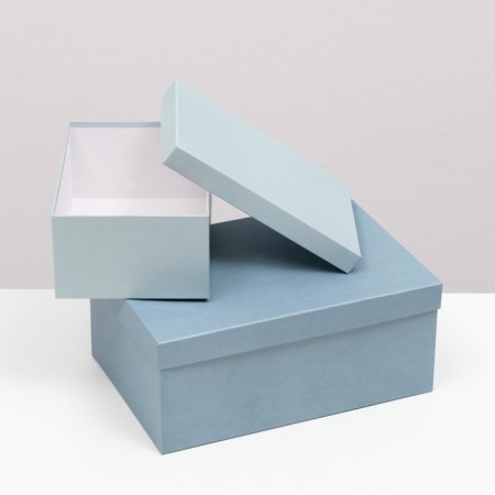 Set of boxes 10 in 1 "barracudus" 30.5 x 20 x 13 - 12 x 6.5 x 4 cm-2