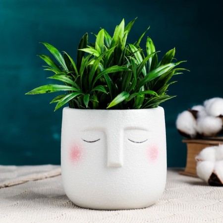 Mr. Twix pot 10x9.5cm, white, 0.6l, D-8.5