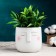 Mr. Twix pot 10x9.5cm, white, 0.6l, D-8.5